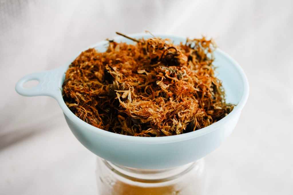 calendula salve calendula recipes