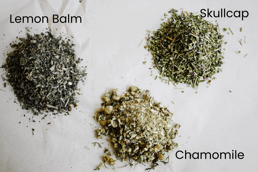 lemon balm herb
