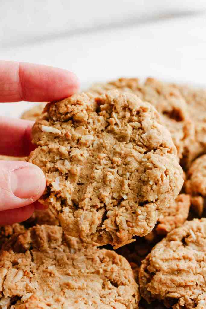 lactation cookies lactation cookies recipe easy
