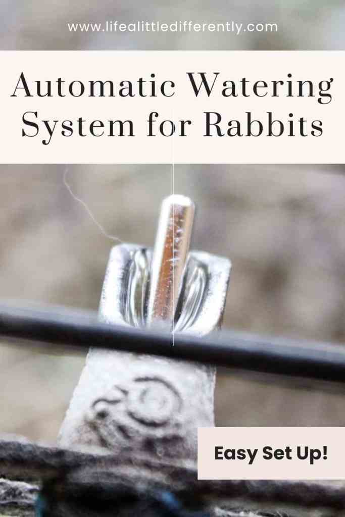 automatic watering system