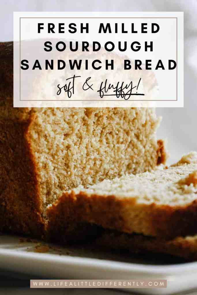 fresh milled sourdough sandwich bread fresh milled sourdough sandwich bread