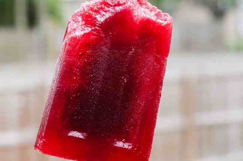Refreshing Hibiscus Mint Popsicles