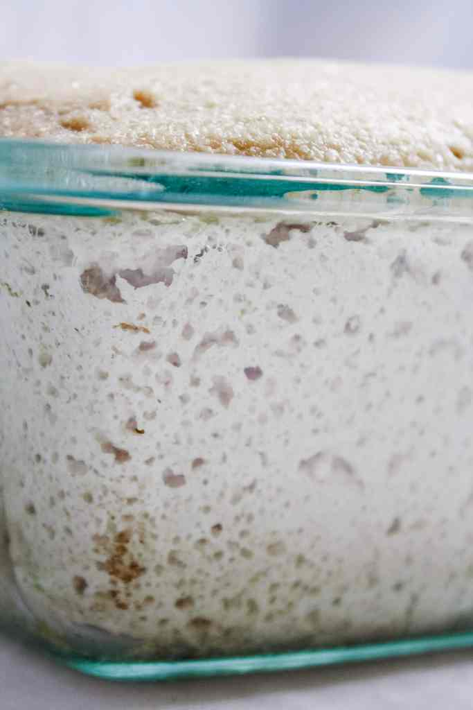 fresh milled sourdough sandwich bread sandwich bread recipe