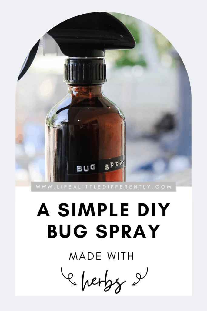 diy bug spray simple herbal diy bug spray