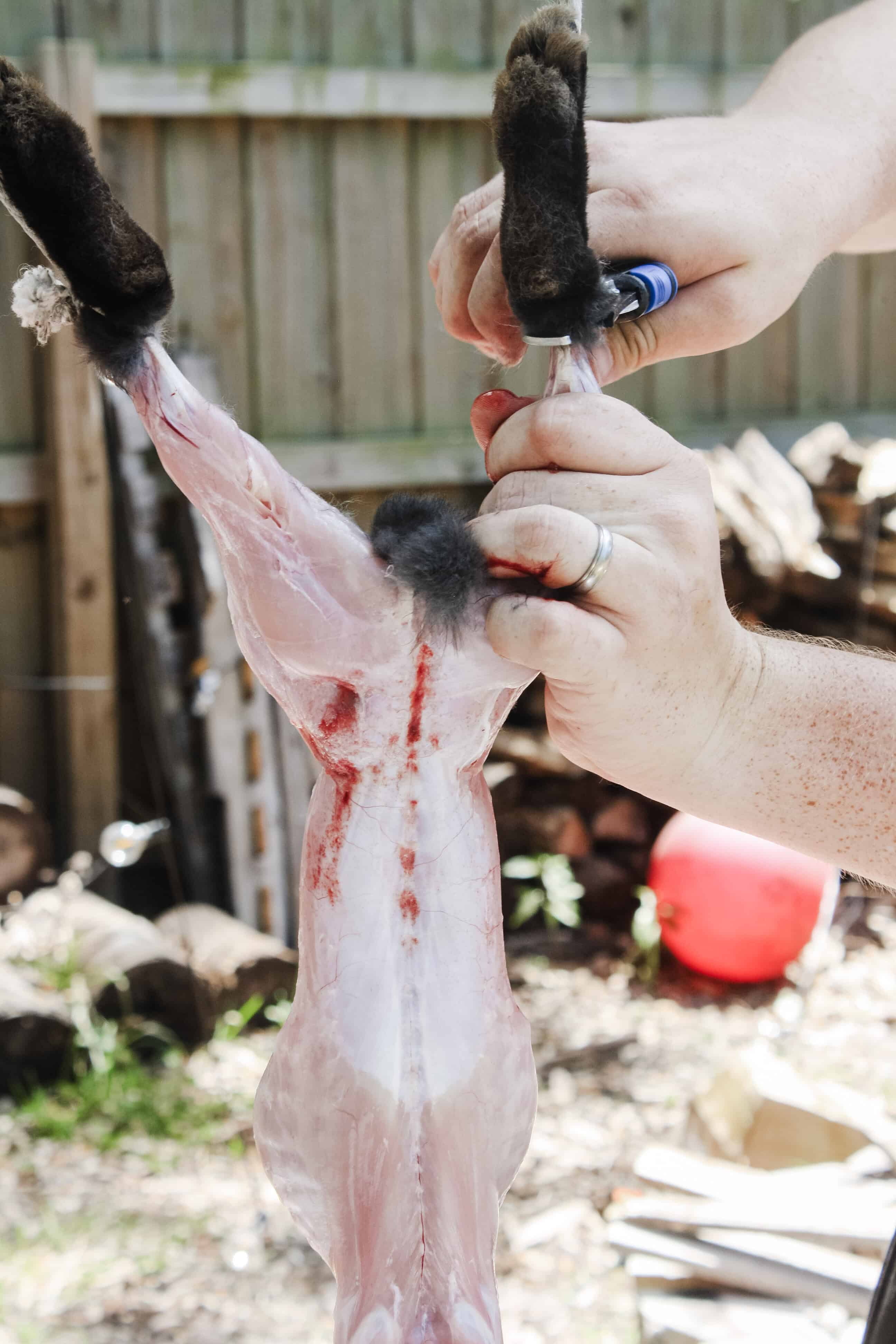 How to Prepare to Butcher Meat Rabbits