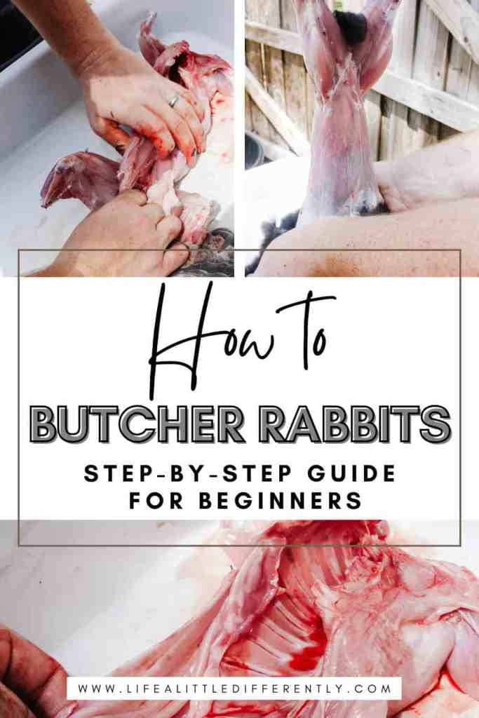how to butcher rabbits how to butcher rabbits beginners guide