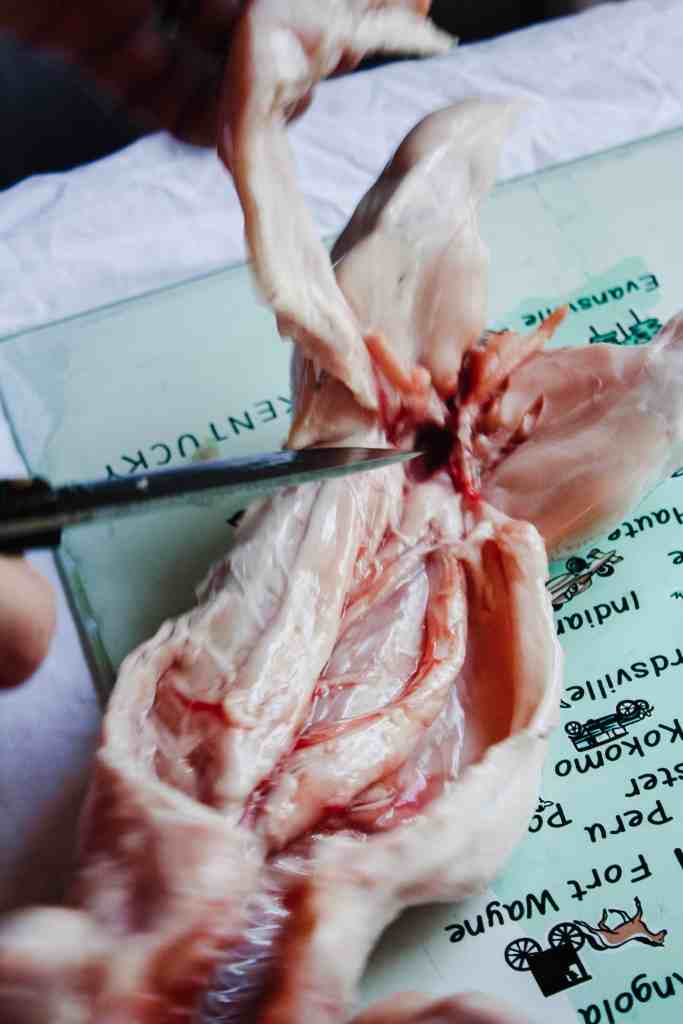 store rabbit meat deboning rabbit
