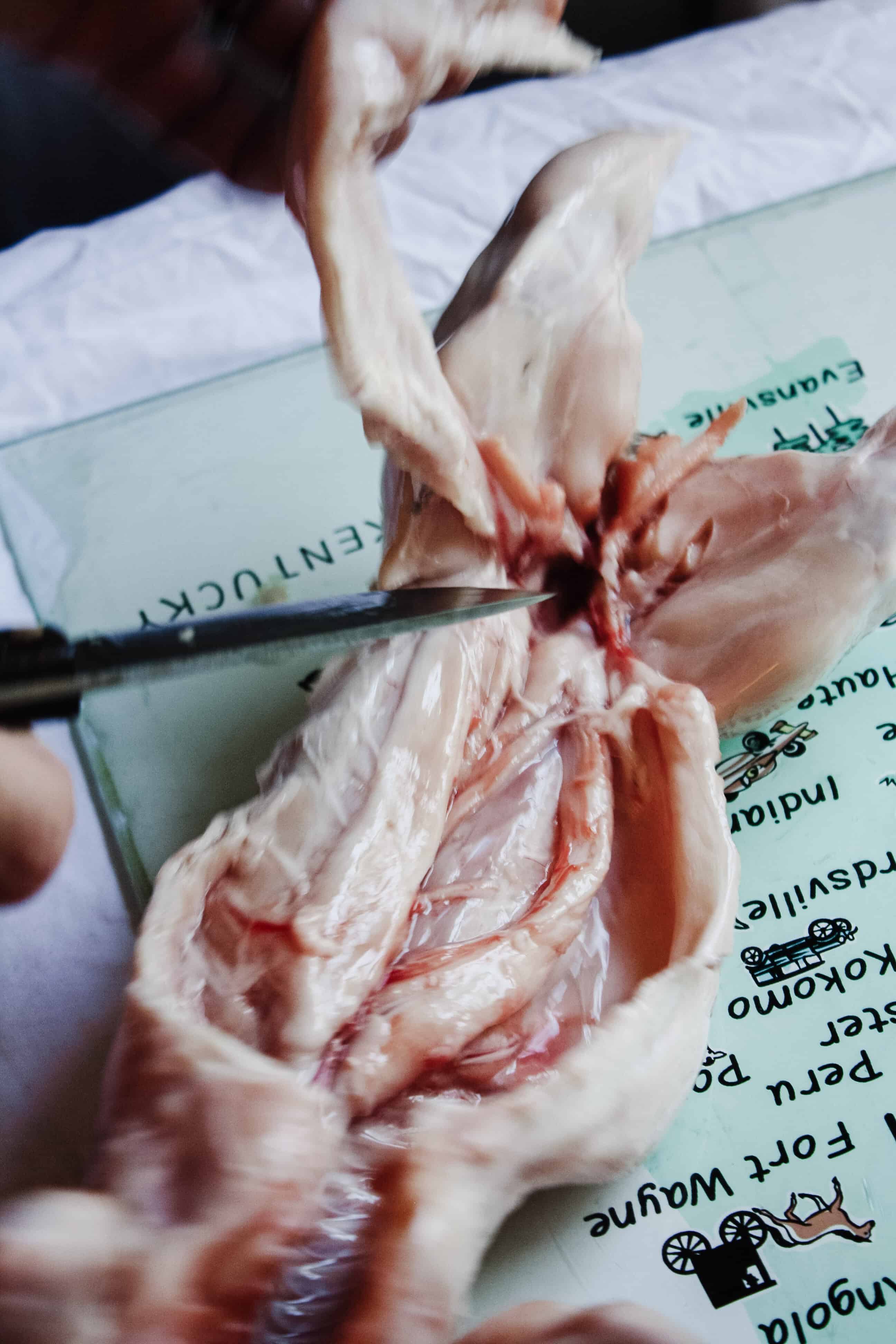 deboning rabbit