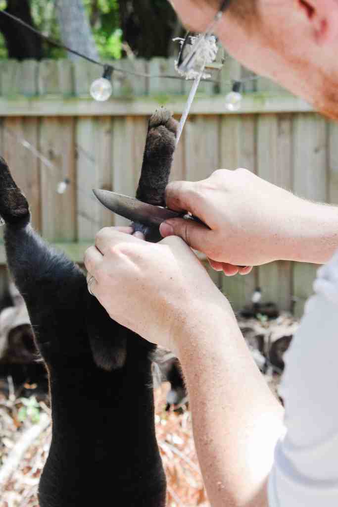 how to butcher rabbits how to butcher rabbits