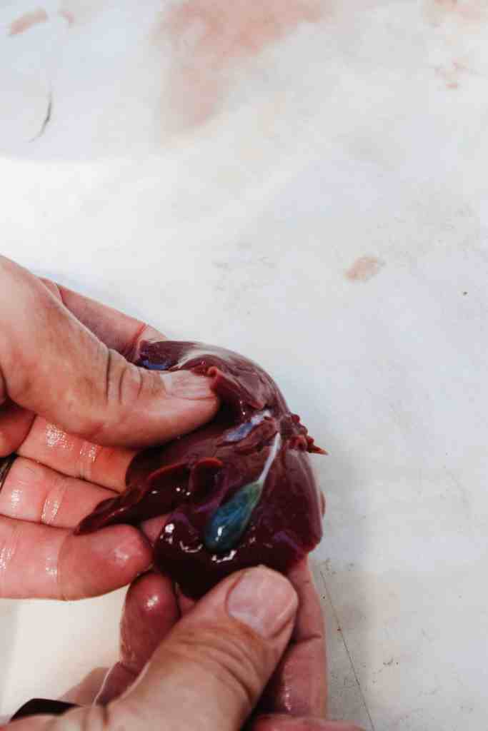 how to butcher rabbits rabbit liver
