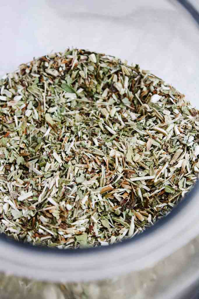 medicinal herbs for beginners echinacea