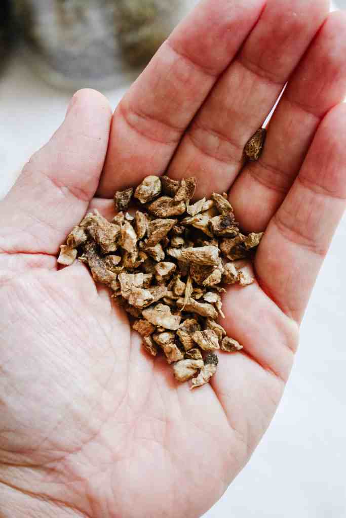 medicinal herbs for beginners elecampane