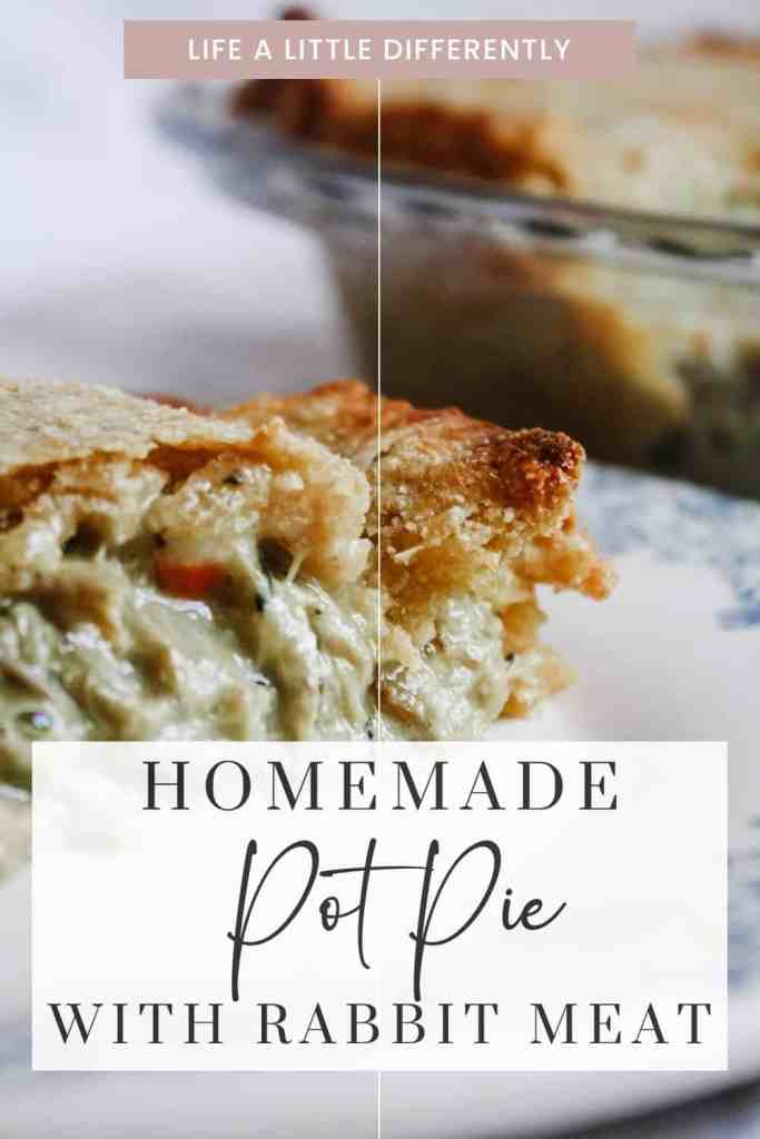 pot pie pot pie with rabbit meat