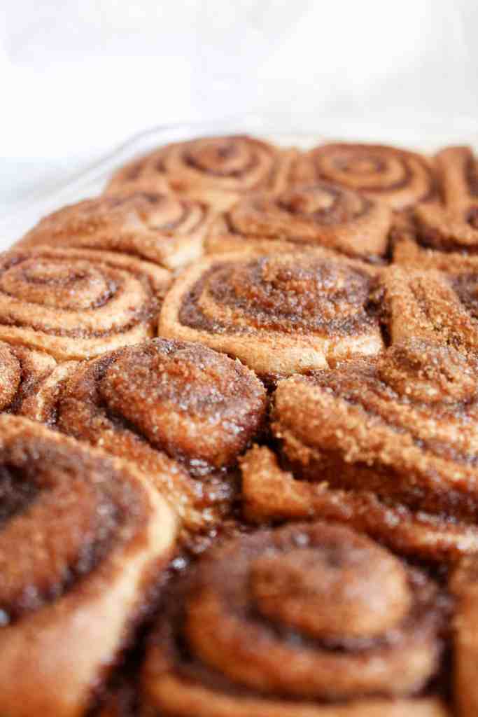 spelt cinnamon roll recipe baked spelt cinnamon roll recipe
