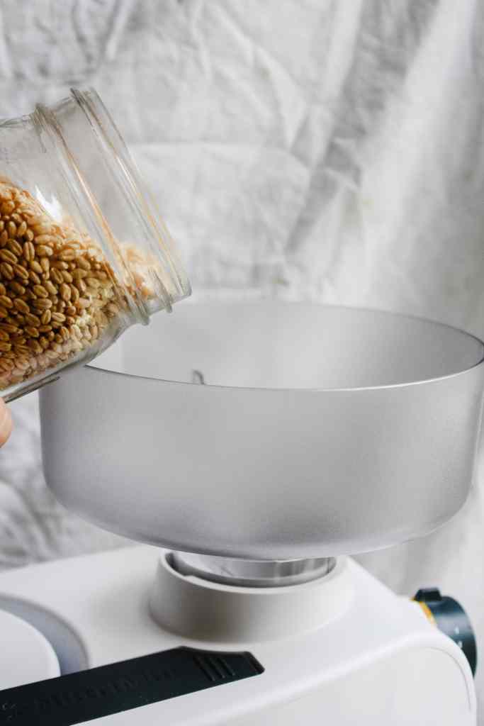 grain mill pour grain in grain mill