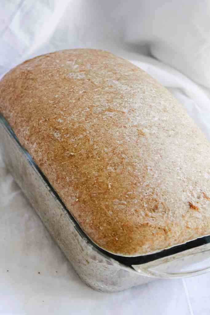 rising spelt bread