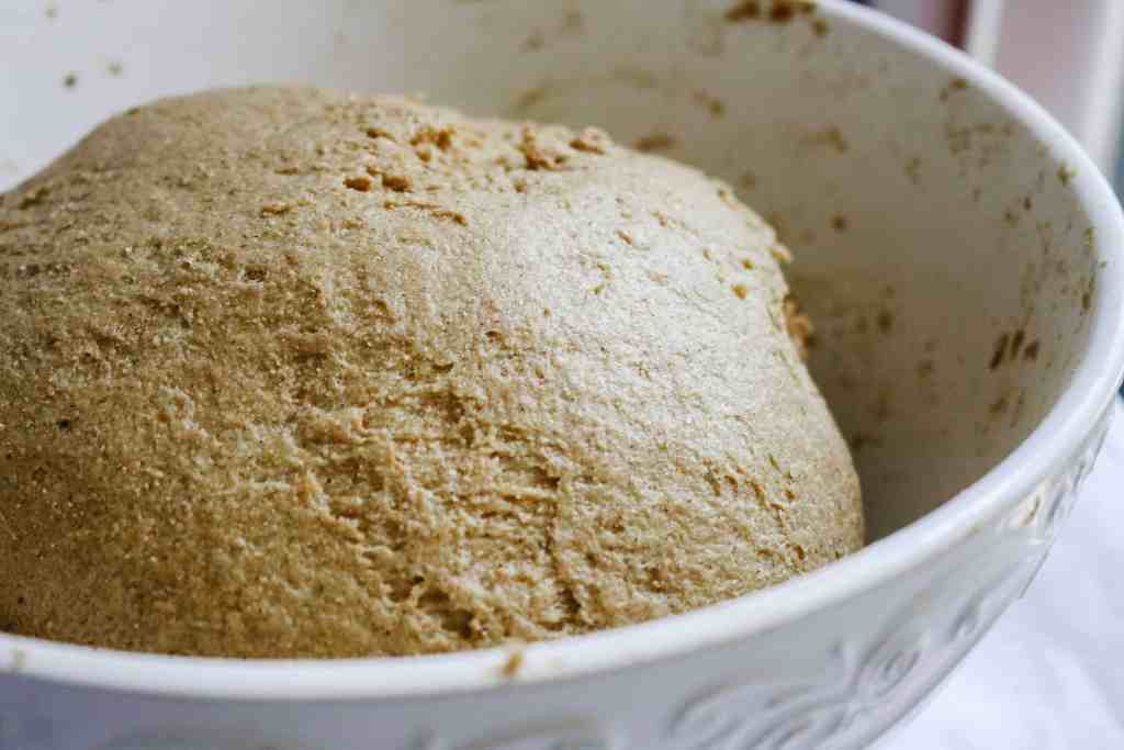 pumpkin cinnamon rolls sourdough dough