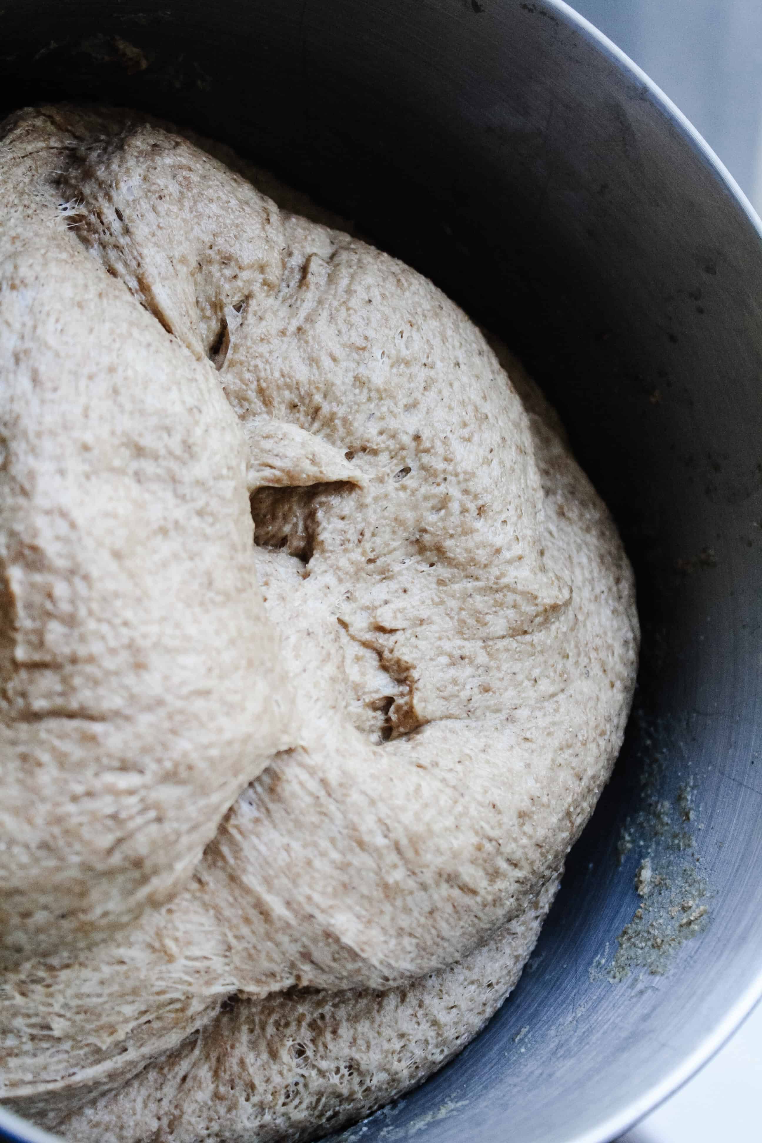 sourdough spelt dough sourdough spelt dough