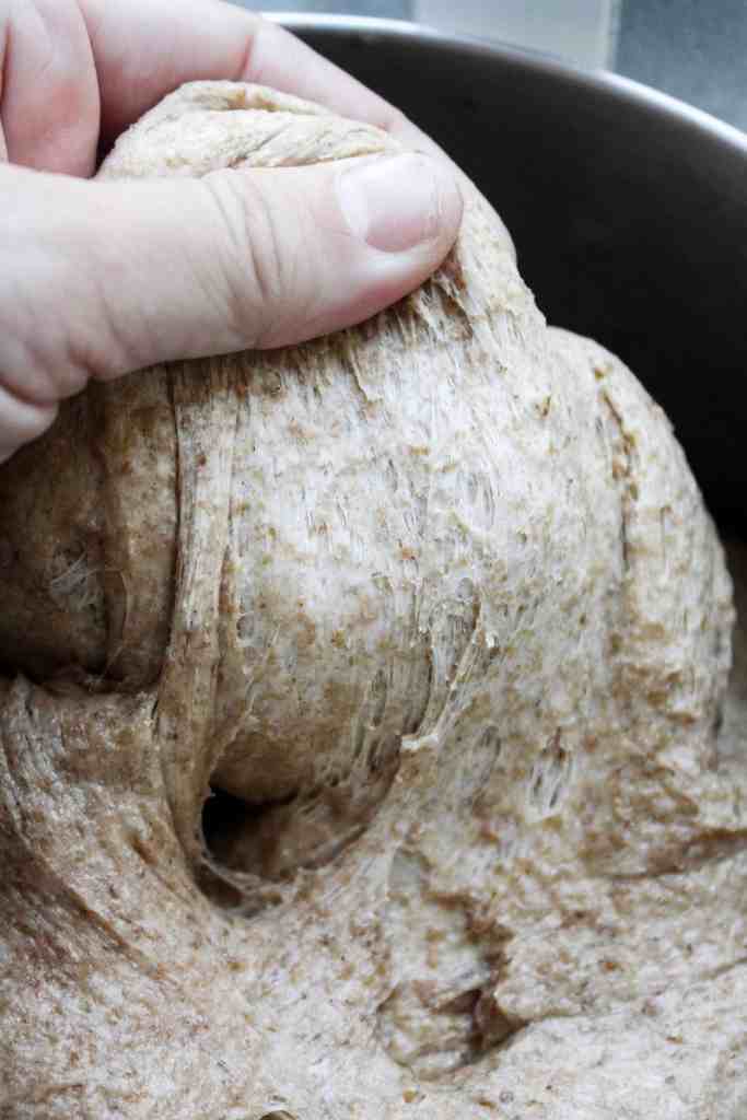spelt bread dough
