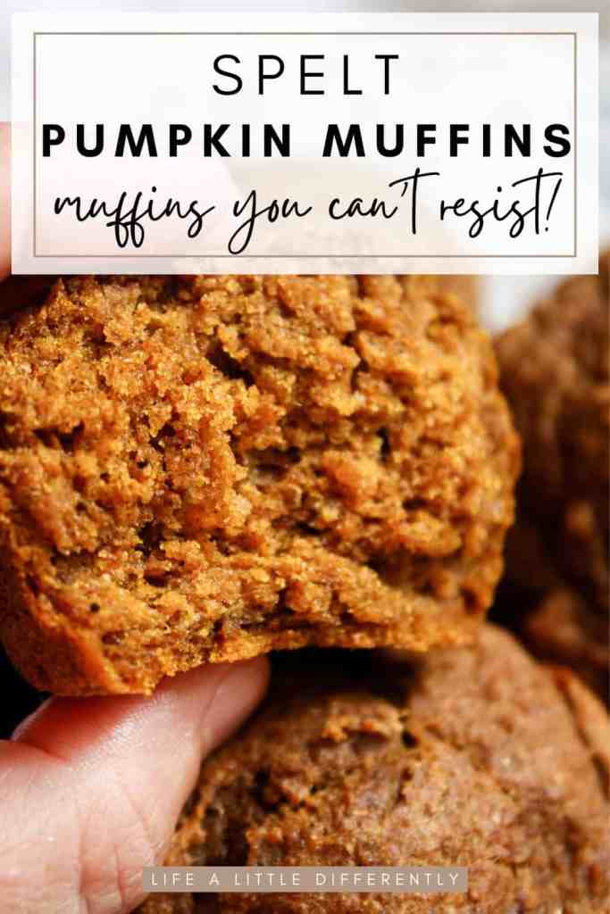 spelt pumpkin muffins