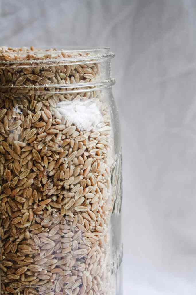 spelt jar of spelt