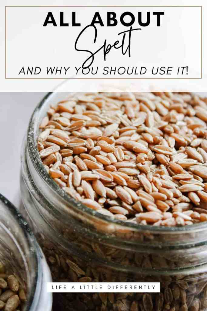 spelt spelt