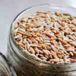 All About Spelt and Why You Should Use It
