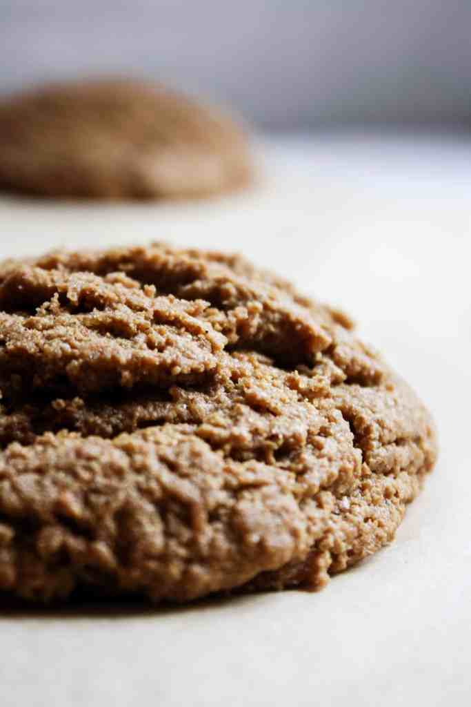 ginger molasses cookie spicy ginger molasses cookie