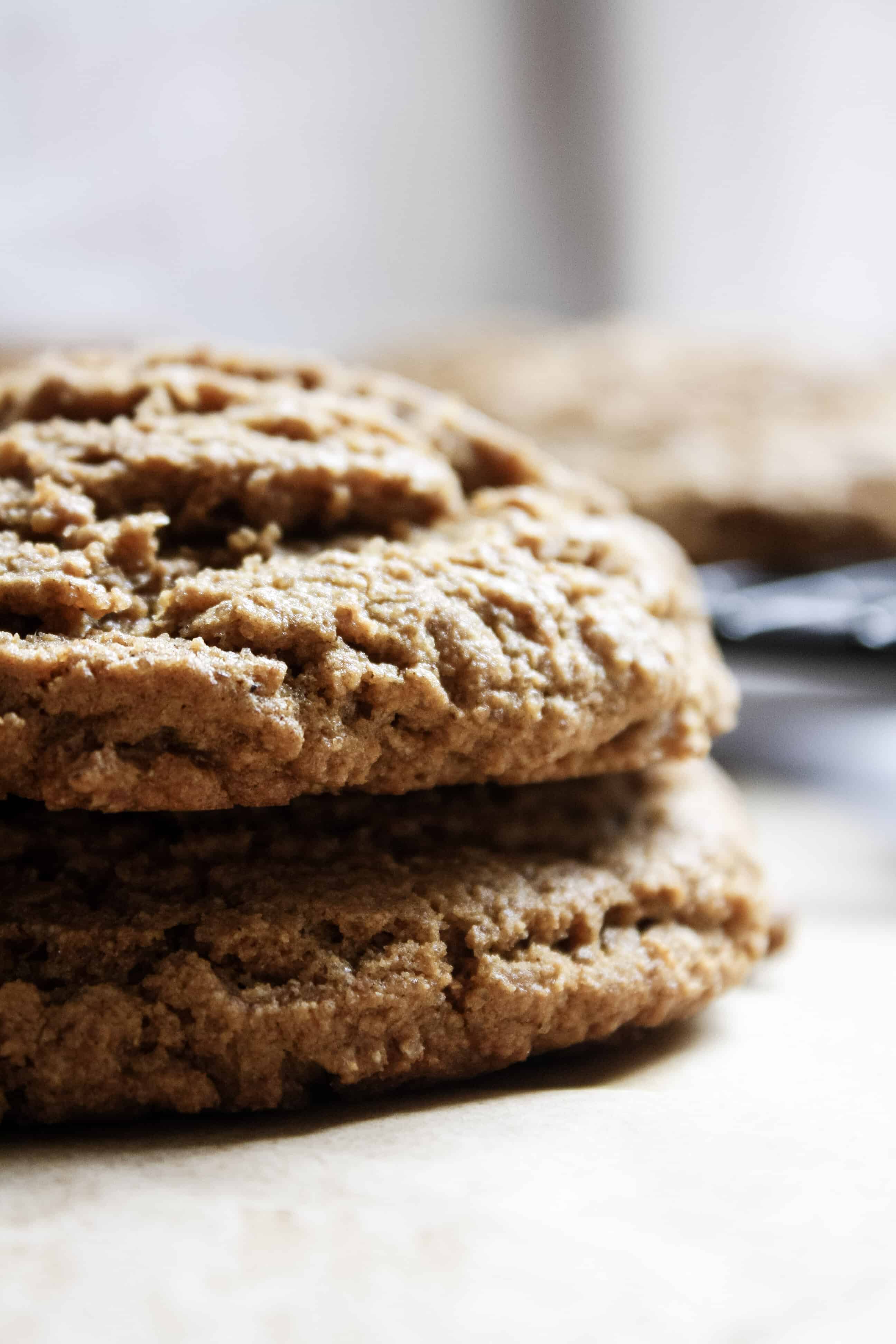 warm ginger molasses cookies